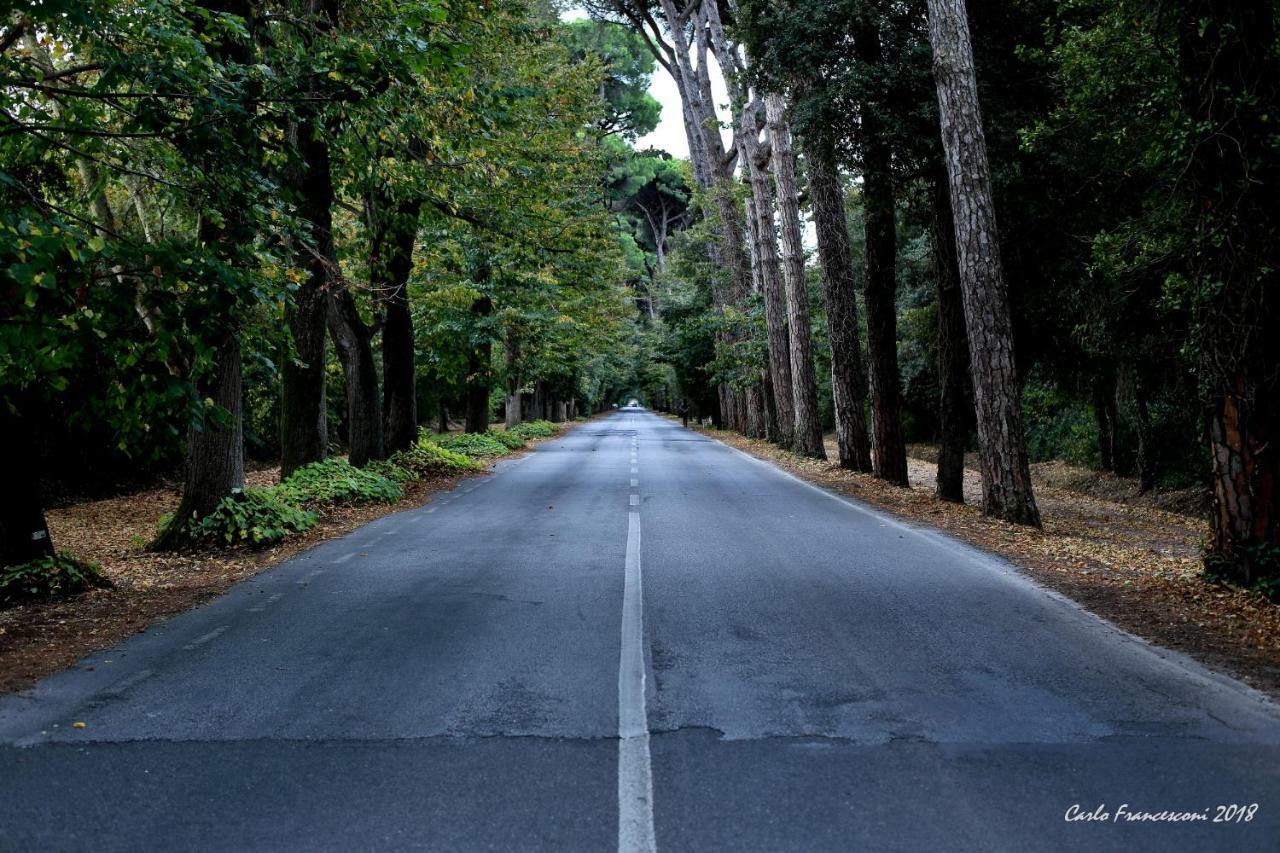 Vacanze A Βιαρέτζιο Εξωτερικό φωτογραφία